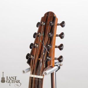 Voyager Guitars Irish bouzouki 