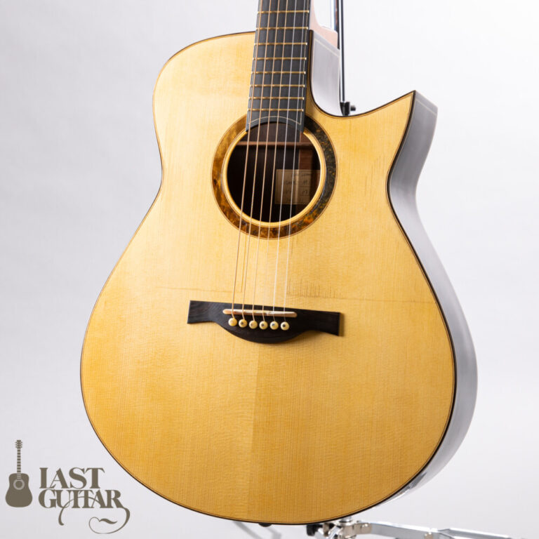 Wai Wong Guitars MD-Jacaranda