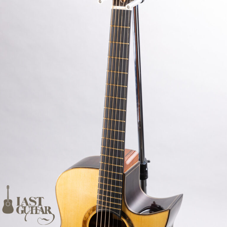 Wai Wong Guitars MD-Jacaranda