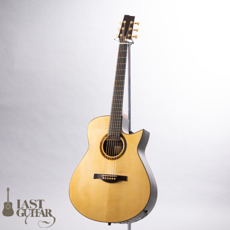 Wai Wong Guitars MD-Jacaranda