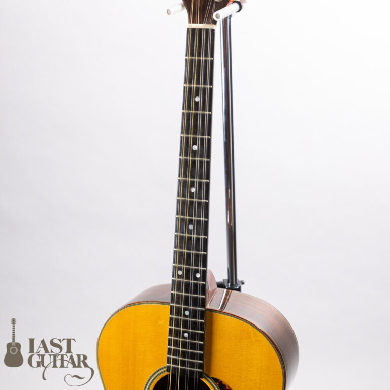 Master 8st Tenor Guitar