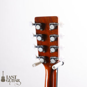 Master 8st Tenor Guitar