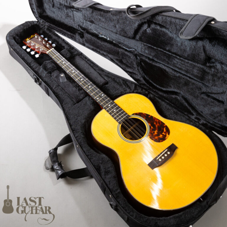 Master 8st Tenor Guitar