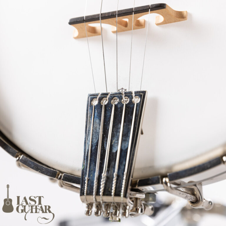 Vega Pete Seeger Long Neck Banjo 1963