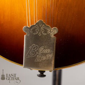 BlueBell Two Point f hole Style Mandolin