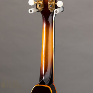 BlueBell Two Point f hole Style Mandolin