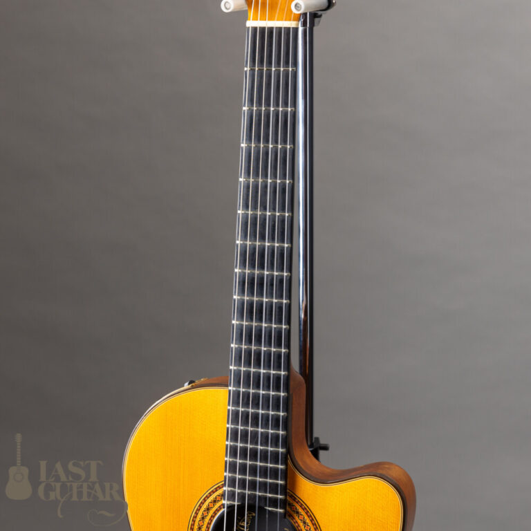 Gibson Chet Atkins CE