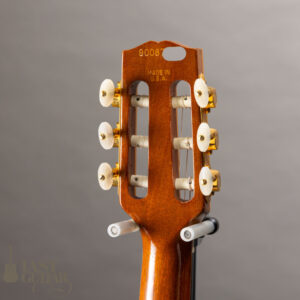 Gibson Chet Atkins CE