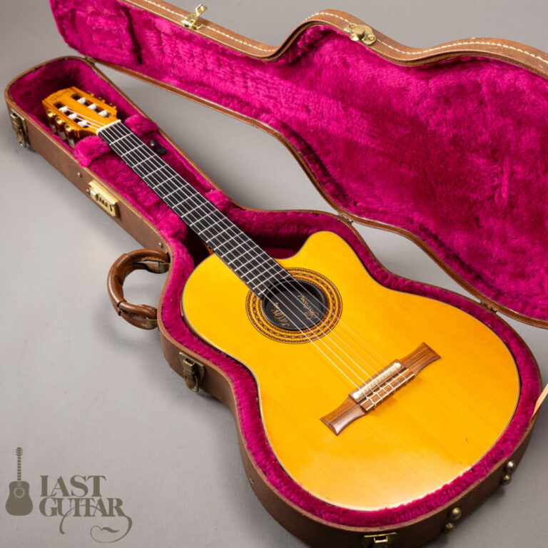 Gibson Chet Atkins CE