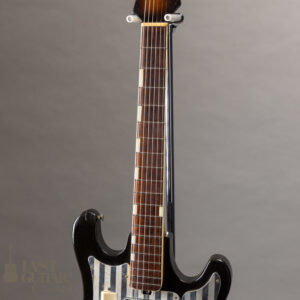 Teisco WG-4L Reborn Custom By Humpback Engineering