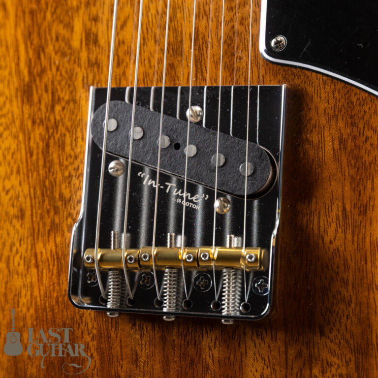 ALCEDO GUITARS Custom ATL All Mahogany