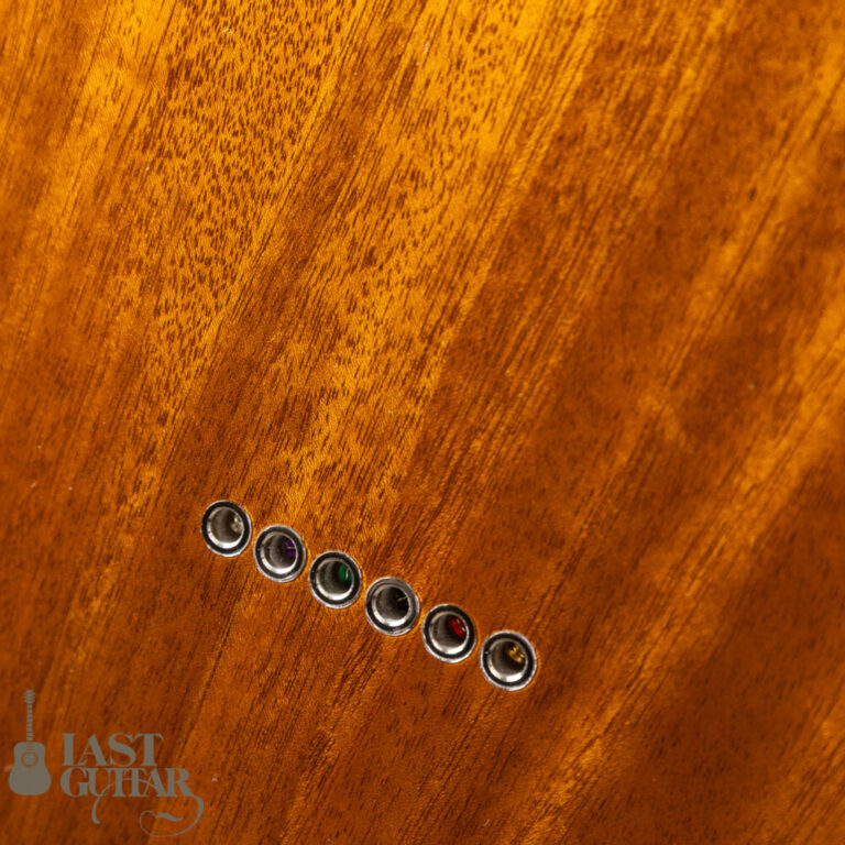 ALCEDO GUITARS Custom ATL All Mahogany
