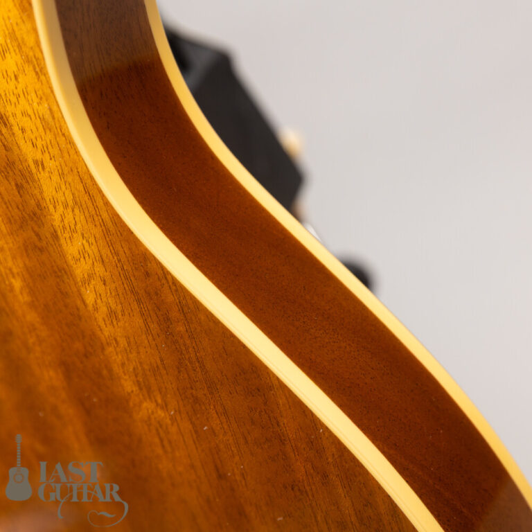 ALCEDO GUITARS Custom ATL All Mahogany