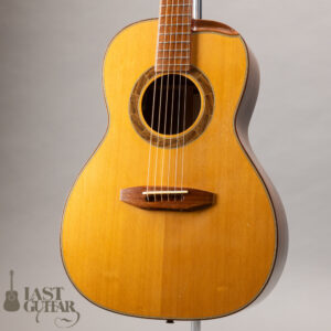 Iwaneko Guitars Type-N