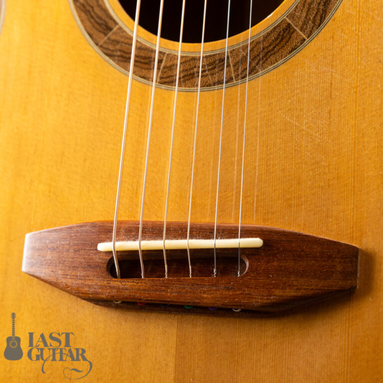 Iwaneko Guitars Type-N