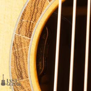 Iwaneko Guitars Type-N