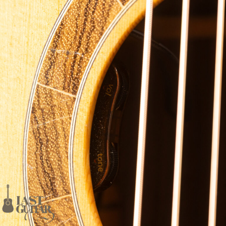 Iwaneko Guitars Type-N