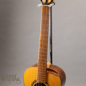 Iwaneko Guitars Type-N