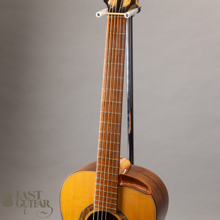 Iwaneko Guitars Type-N