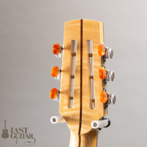 Iwaneko Guitars Type-N