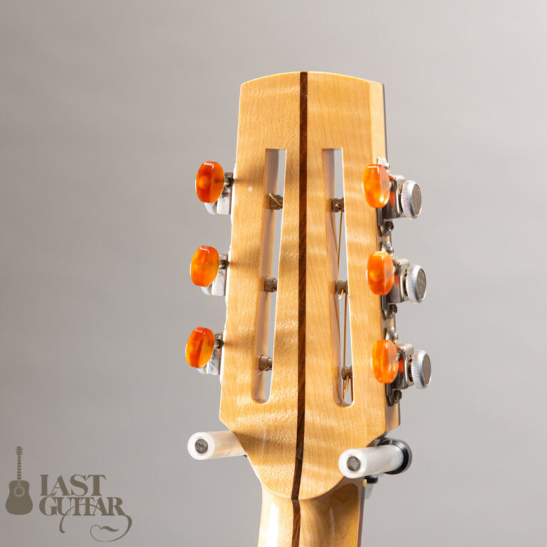 Iwaneko Guitars Type-N