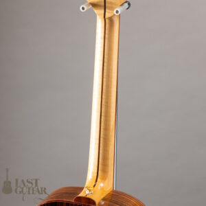 Iwaneko Guitars Type-N
