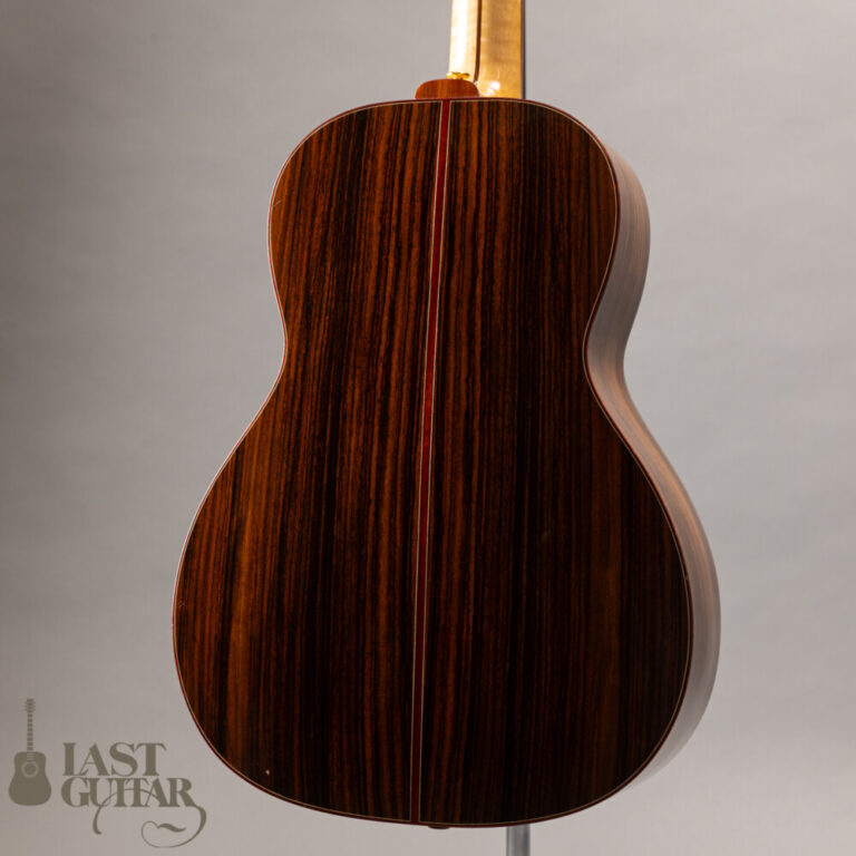 Iwaneko Guitars Type-N