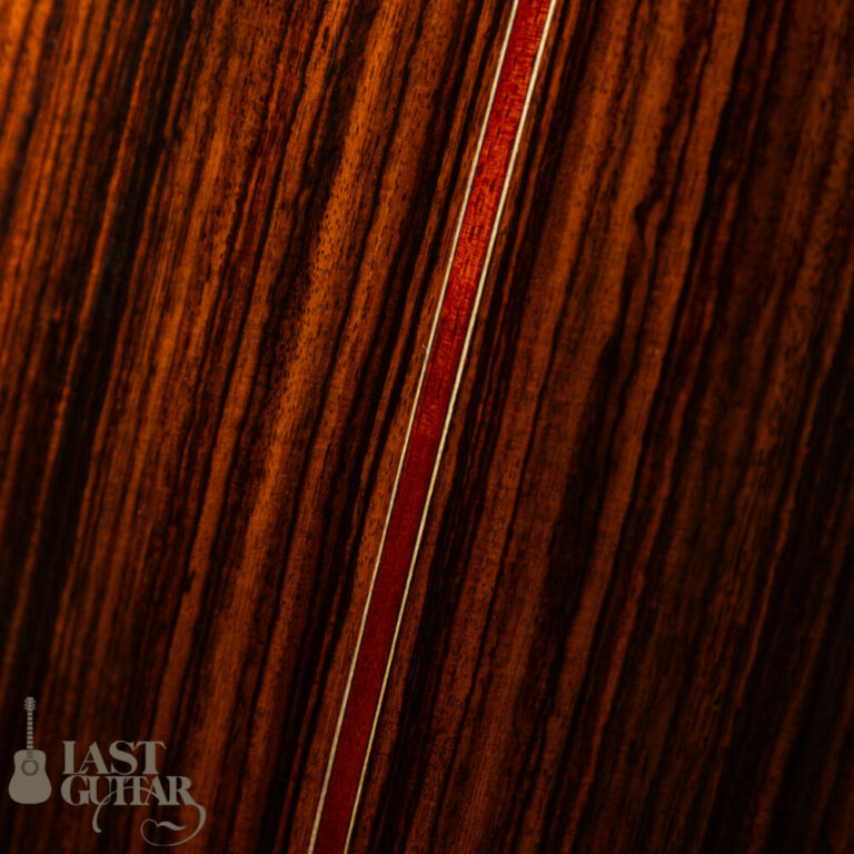 Iwaneko Guitars Type-N