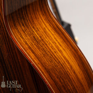 Iwaneko Guitars Type-N