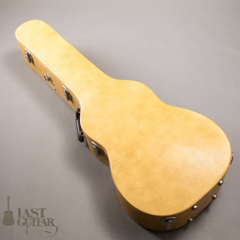 Iwaneko Guitars Type-N