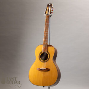 Iwaneko Guitars Type-N