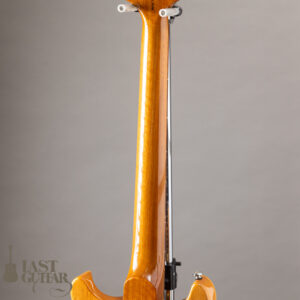 Paul Reed Smith (PRS) SE Santana