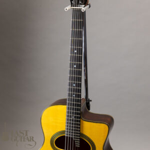 Stringphonic Advanced 14D 