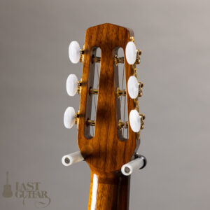 Stringphonic Advanced 14D 