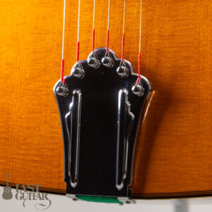 Stringphonic Advanced FV Limited