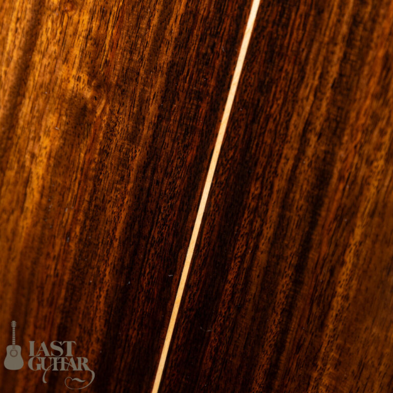 Taylor 814ce ES2
