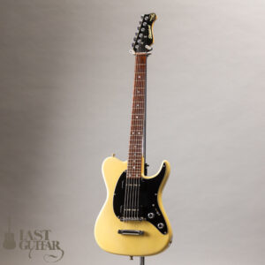 Valley Arts USA Larry Carlton Standard