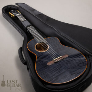 aNueNue aNN-LN77E