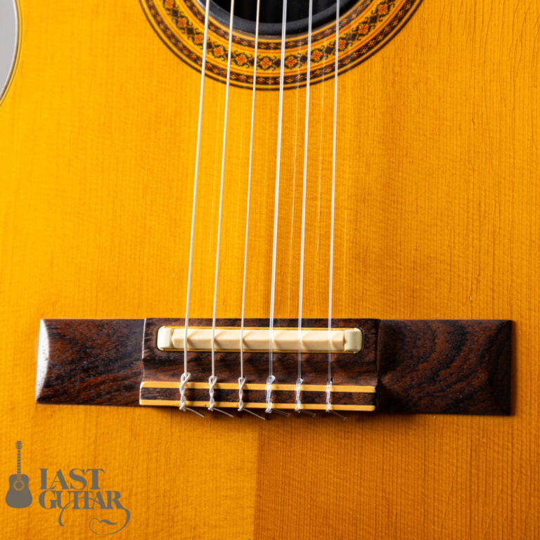 Gibson Chet Atkins CE 1991