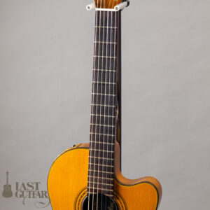 Gibson Chet Atkins CE 1991
