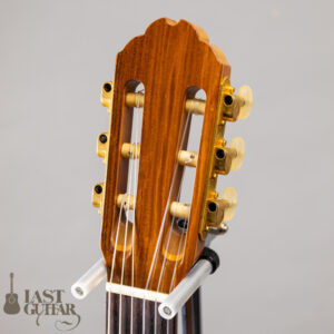 Gibson Chet Atkins CE 1991