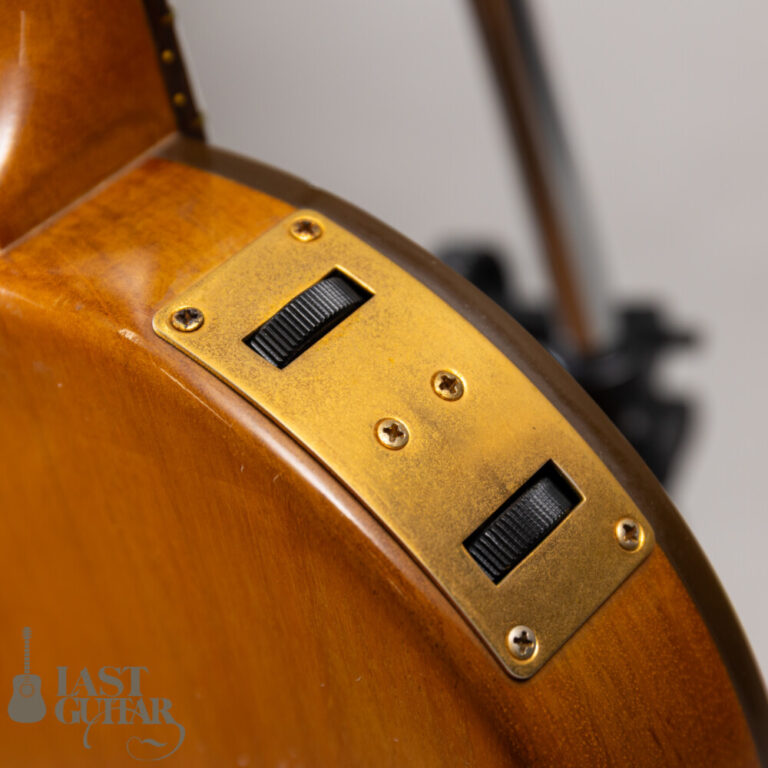 Gibson Chet Atkins CE 1991