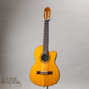 Gibson Chet Atkins CE 1991