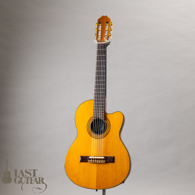 Gibson Chet Atkins CE 1991