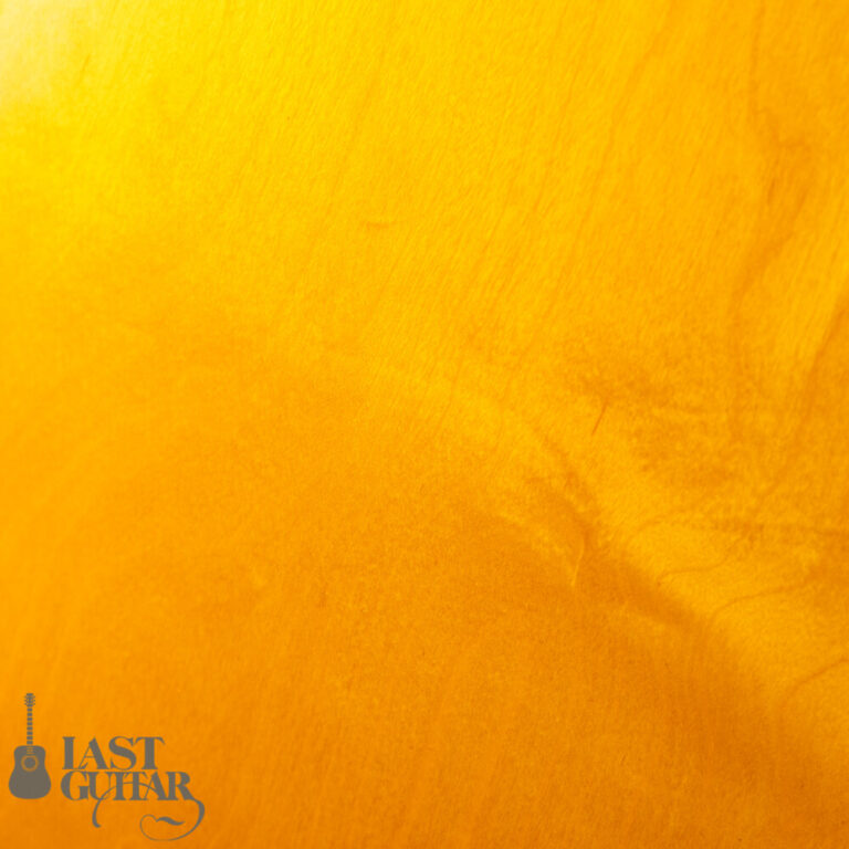 Gibson ES-175DN 1970s