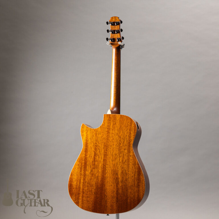 Hozen Guitars Black Label MD Torrefied Sitka Spruce African Mahogany