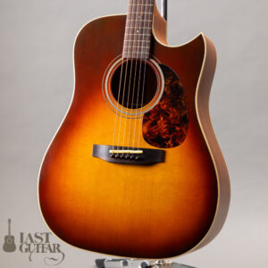 Iwaneko Guitars Type-DC Simple Style Colored Top