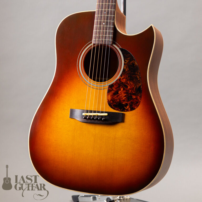 Iwaneko Guitars Type-DC Simple Style Colored Top