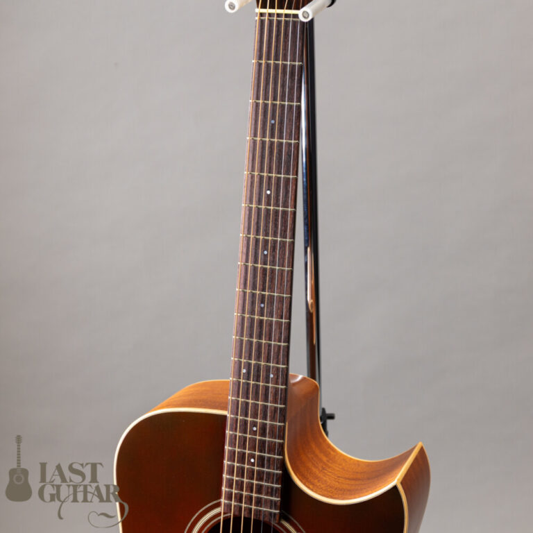 Iwaneko Guitars Type-DC Simple Style Colored Top