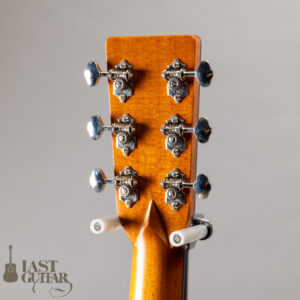 Iwaneko Guitars Type-DC Simple Style Colored Top